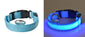 Collier technologie led rechargeable