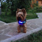 Collier technologie led rechargeable