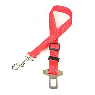 Ceinture de sécurité voiture pour chien