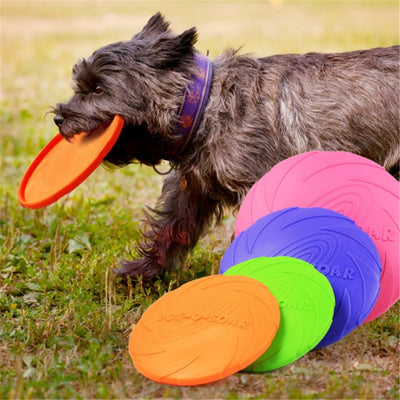 Frisbee pour chien