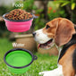 Des bols de voyage en silicone pour votre chien.